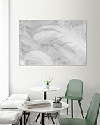 Boho obraz Biele pierka 2002